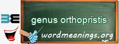 WordMeaning blackboard for genus orthopristis